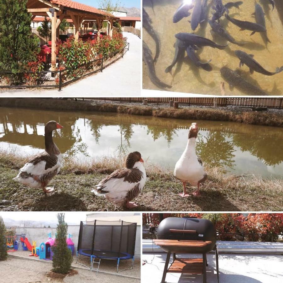 Hotel&Spamontenegro Rivijera Wełes Zewnętrze zdjęcie
